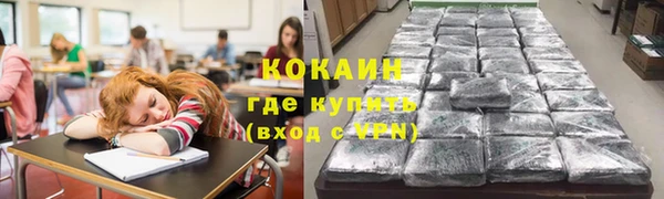 гидра Богданович